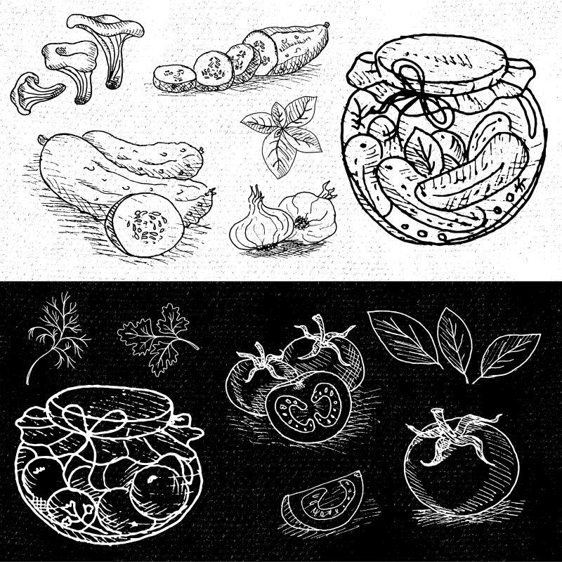 手绘矢量泡菜莳萝黄瓜插图