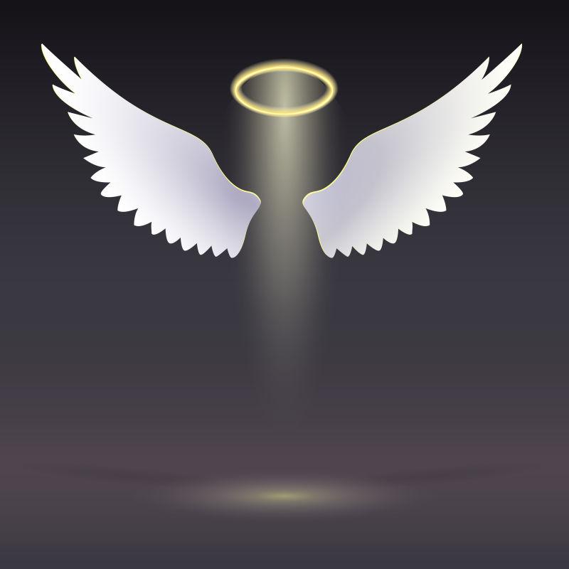 白色天使的翅膀和金色的光环矢量