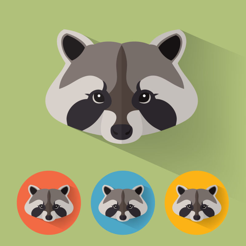 矢量可爱浣熊肖像插图