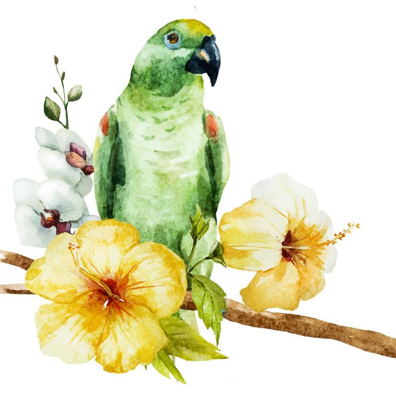站在黄色花朵旁边的美丽的水彩鹦鹉图像矢量