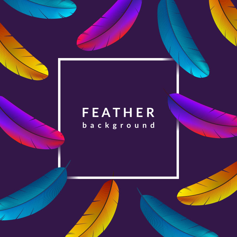 矢量创意羽毛背景