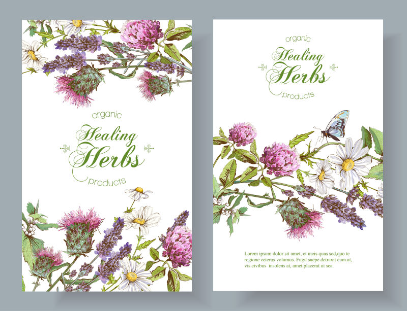 创意紫色花卉元素装饰的矢量卡片设计