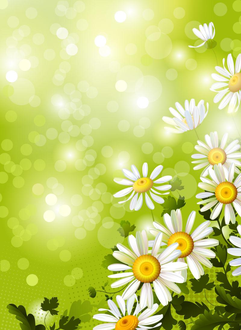 绿色空地上的一些现实甘菊矢量