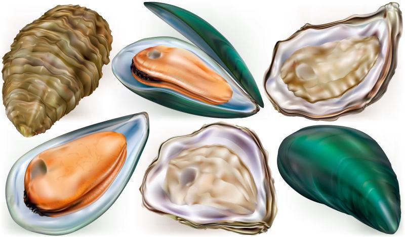 贻贝和牡蛎矢量图