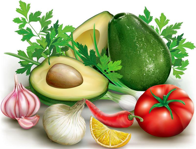 鳄梨与香菜柠檬矢量图