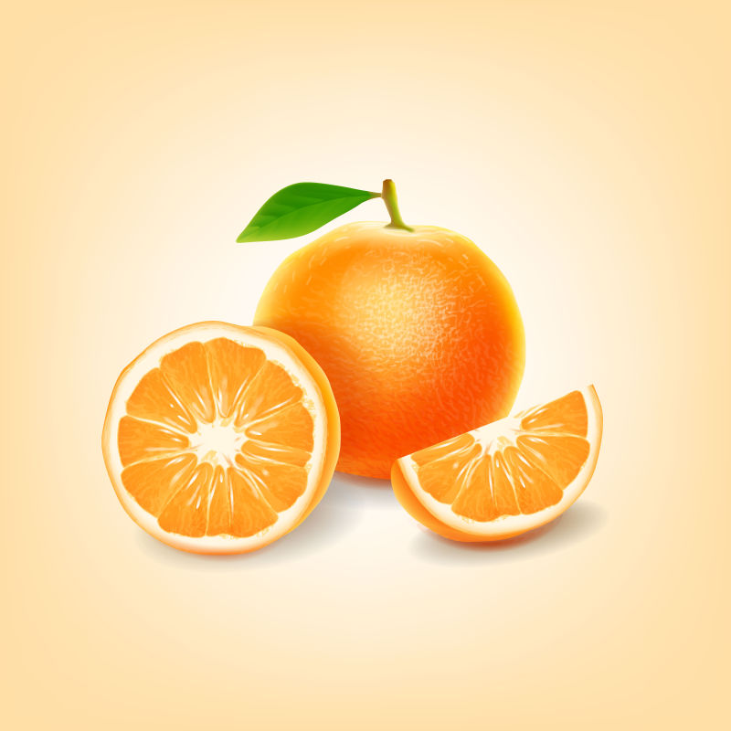 矢量的美味橙子插图