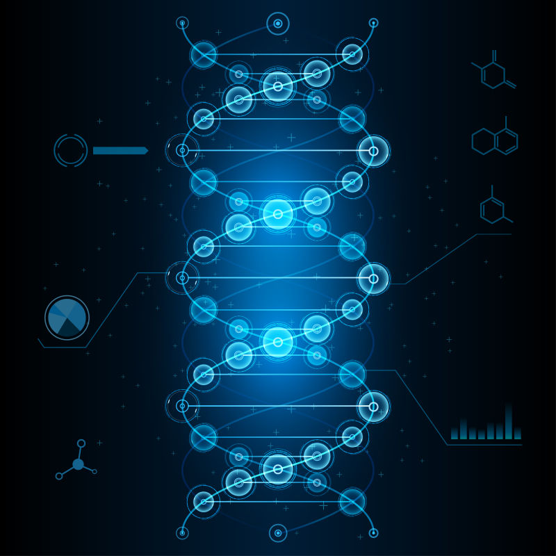 矢量的DNA分子背景