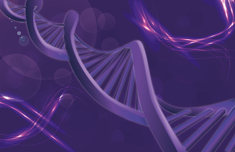 矢量的紫色DNA分子背景