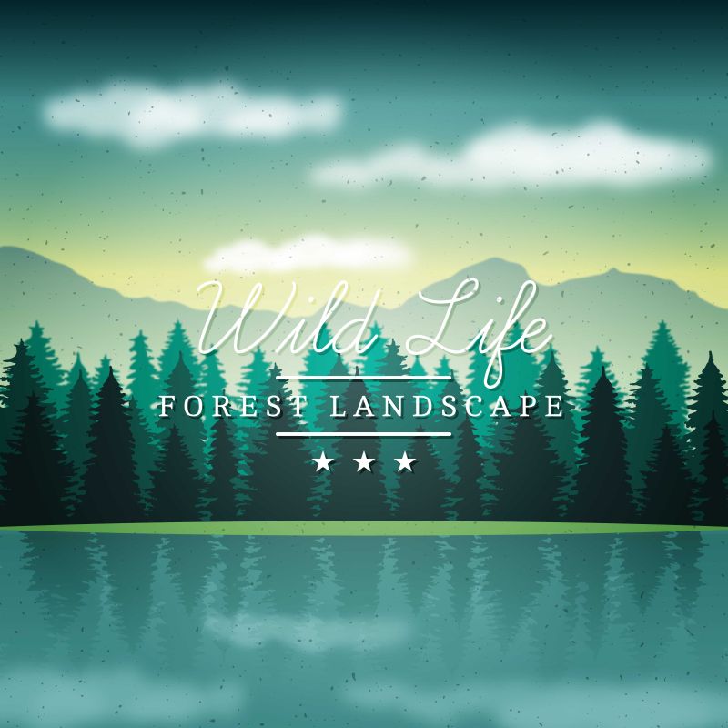 湖边的松树林矢量插图