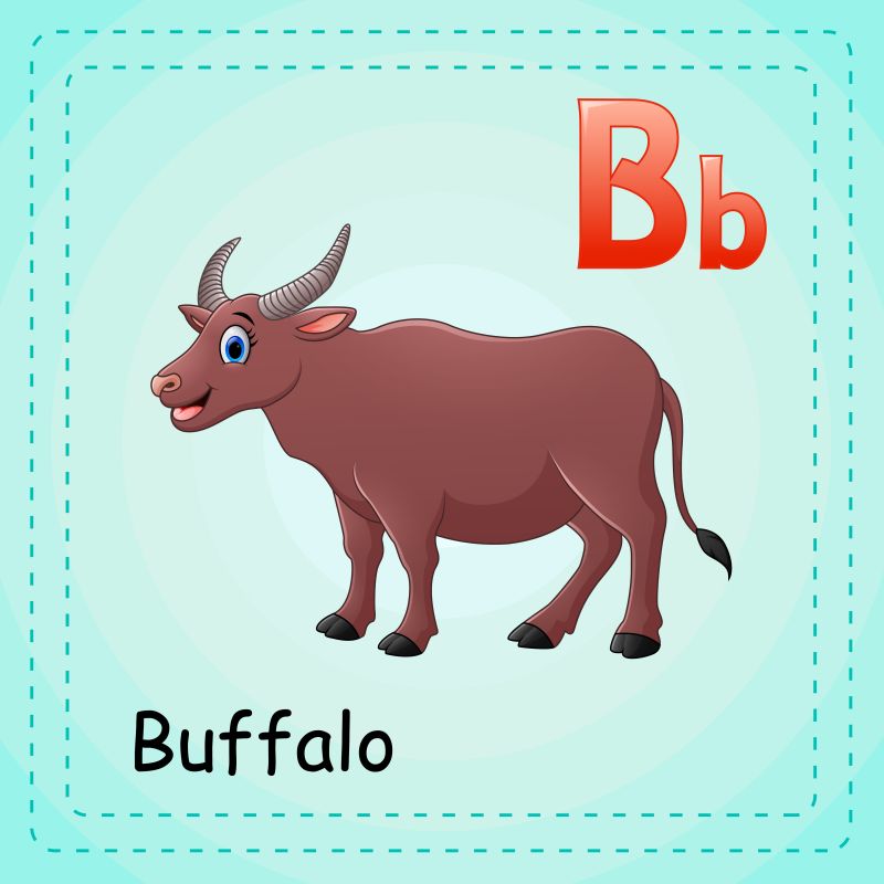 动物字母表B代表牛矢量