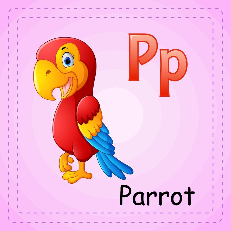 动物字母表P代表Parrot矢量