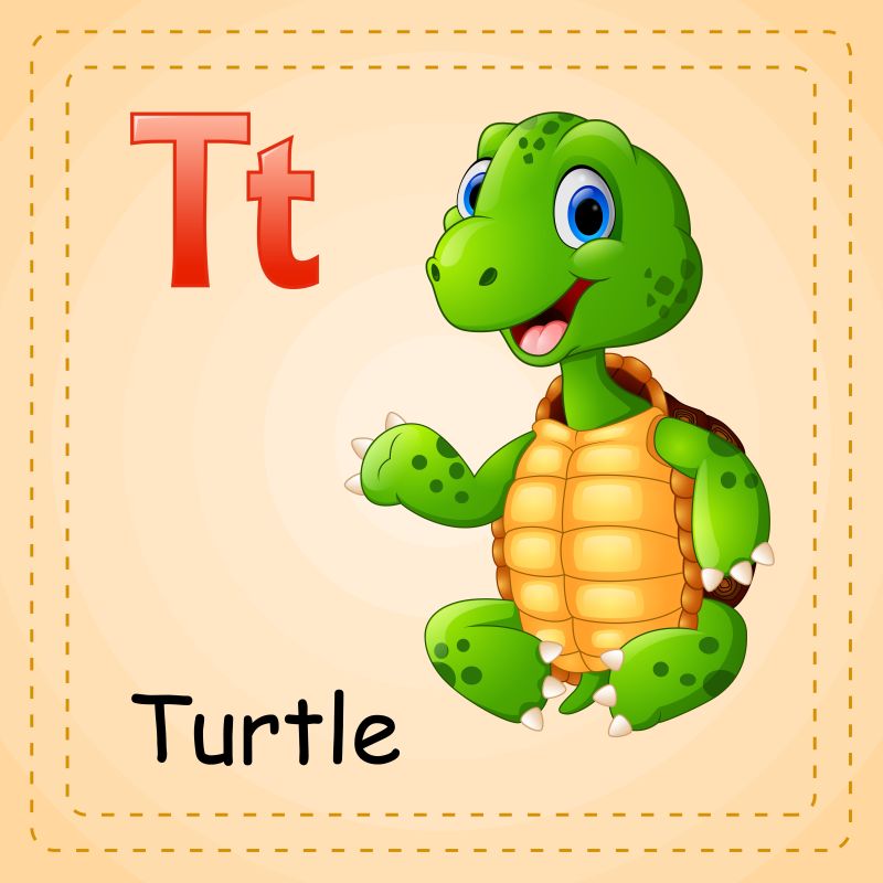 乌龟的英文怎么写图片