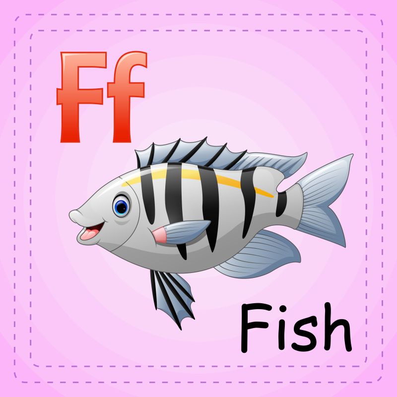 动物字母表F代表鱼矢量