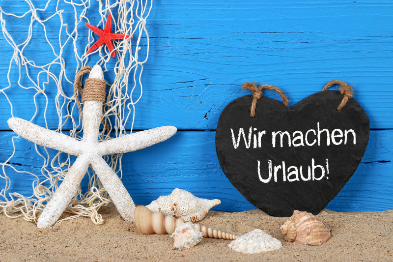 沙滩上的海星贝壳装饰