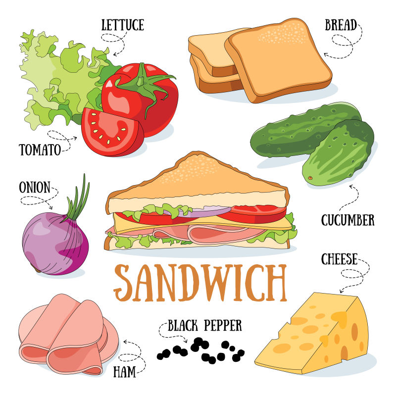 三明治食材矢量插图