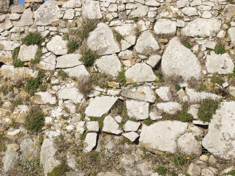 灰色苔藓墙背景