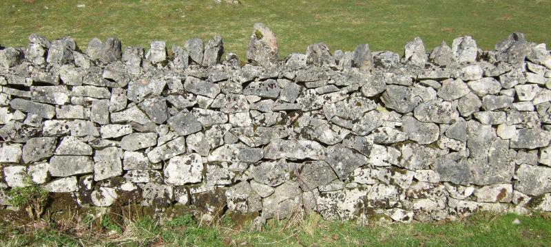 草地上的石墙背景