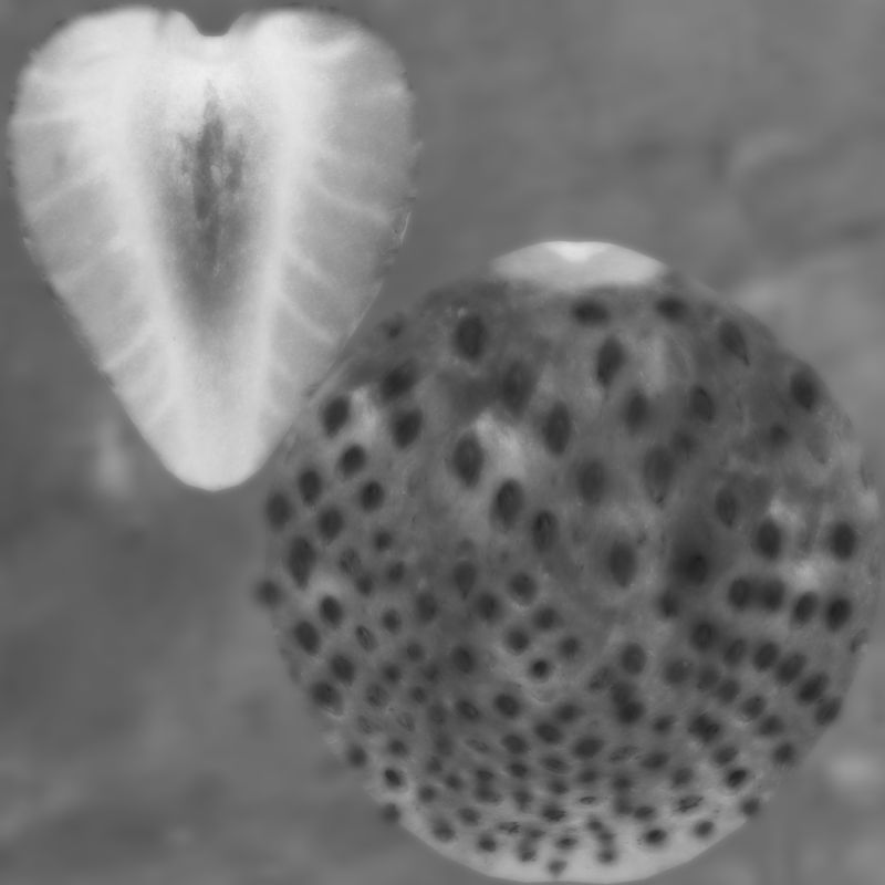 微观镜头下的草莓