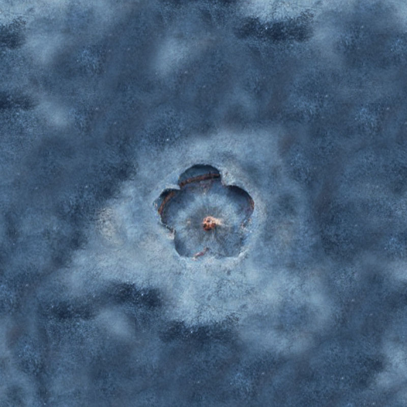 抽象有花朵印记的概念插图