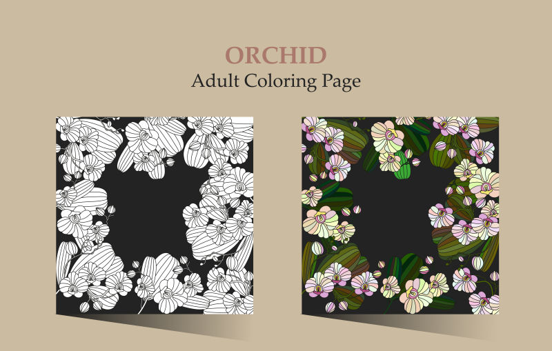 创意矢量手绘兰花装饰插图