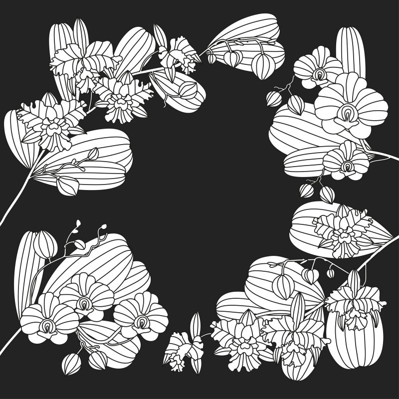 抽象矢量线条装饰风格的兰花插图