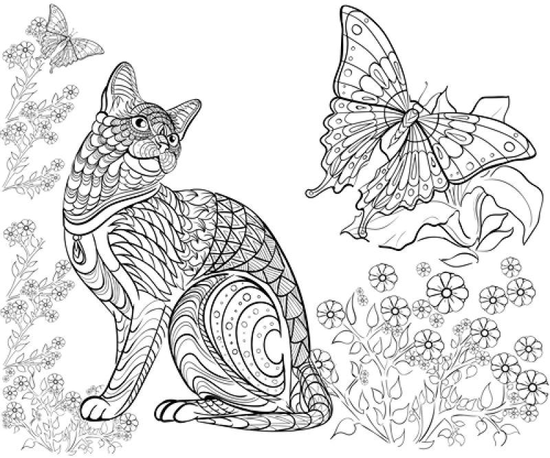 矢量猫望着蝴蝶黑白图案