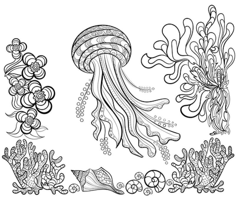 手绘海底捂油墨矢量插图