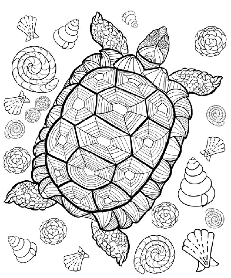 矢量手绘黑白海龟插图
