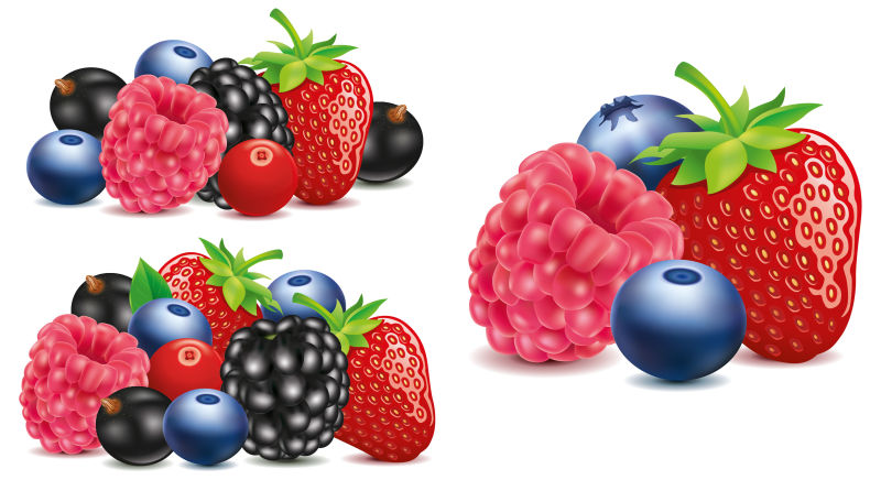 矢量抽象各种莓果插图