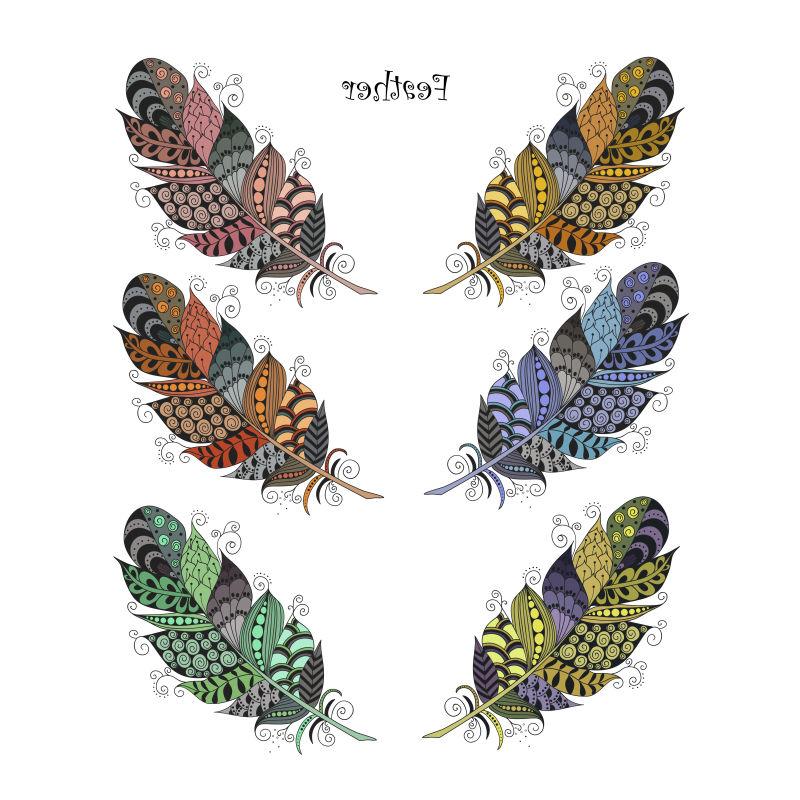 白色背景上的Ztangle羽毛手绘矢量