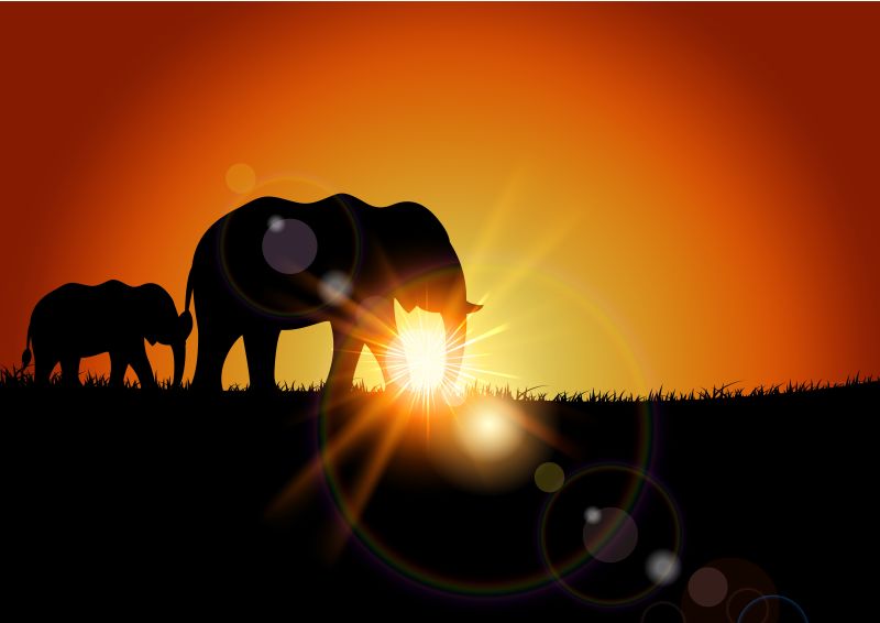 抽象矢量日落时分的大象群插图