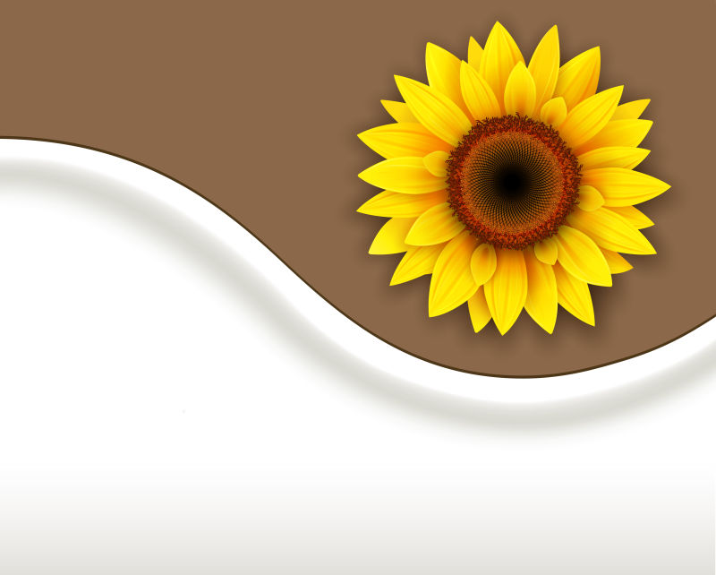 向日葵图案背景矢量设计