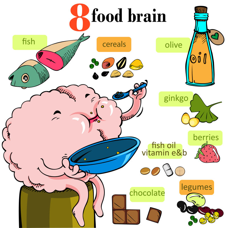 滋补养脑的食物矢量插图