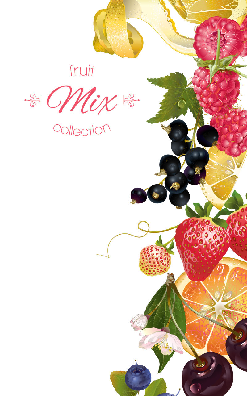 水果和浆果创意矢量横幅