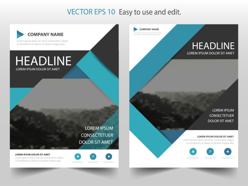 矢量的年度报告小册子