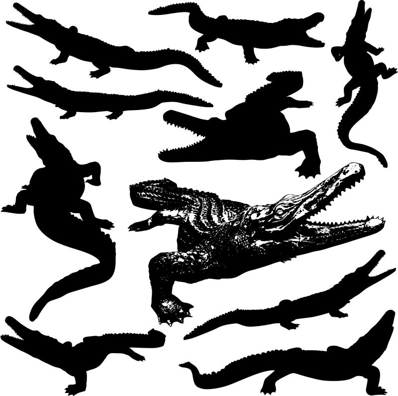 矢量鳄鱼剪影