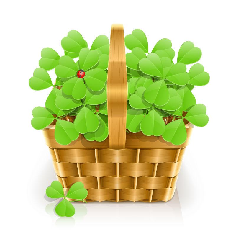 隔离的三叶草矢量插图