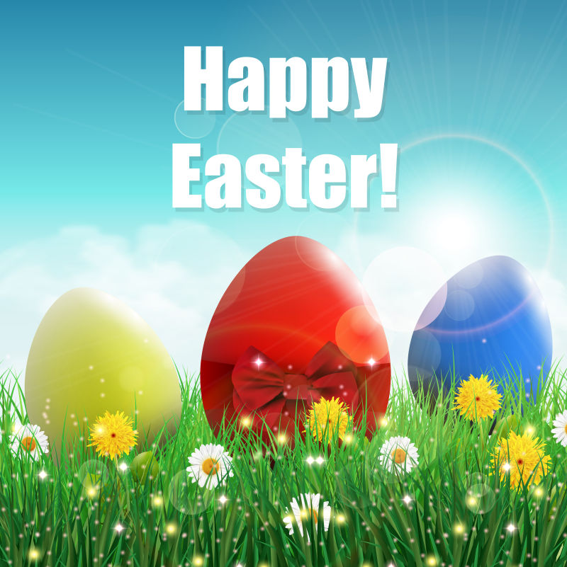 野花和野花上的酯类鸡蛋矢量插图