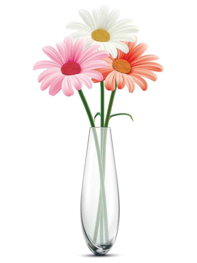 在一个白色的玻璃花瓶上的戴茜矢量插图
