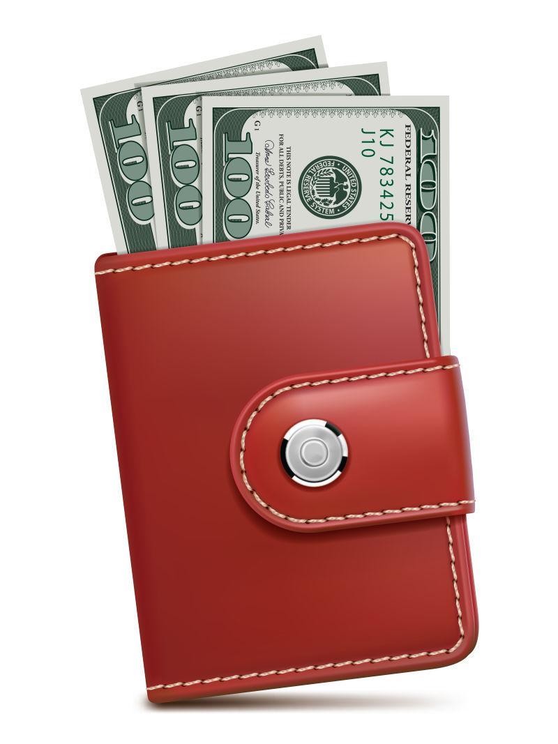 隔离的红色的钱包里有钱矢量插图
