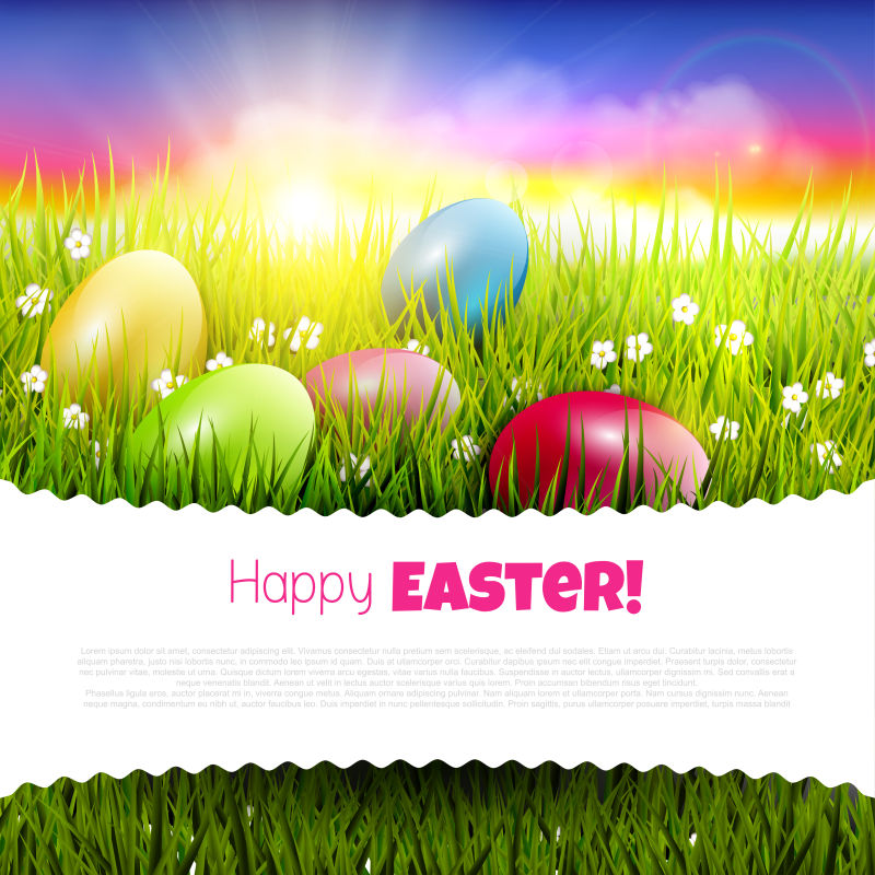 阳光照射的草地上有彩蛋的矢量复活节贺卡