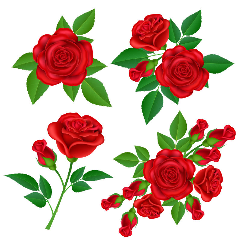 创意矢量红色玫瑰装饰的设计元素