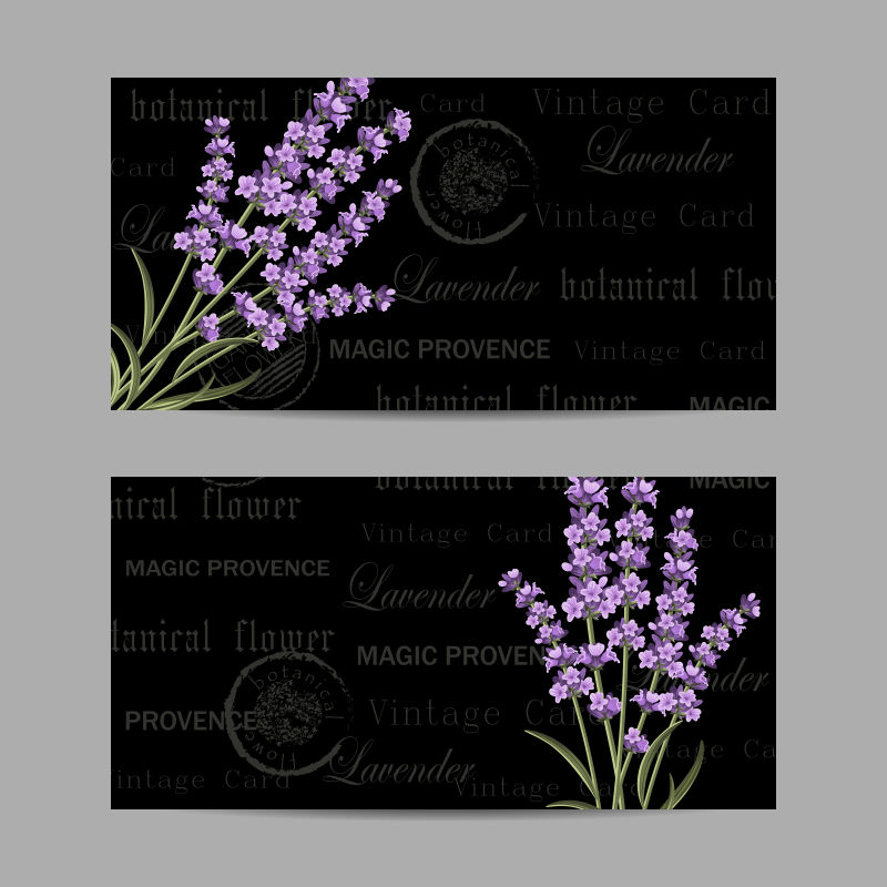 抽象矢量紫色薰衣草元素的装饰卡片设计