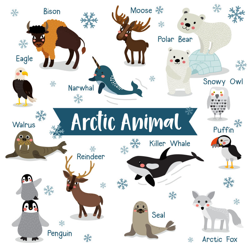 矢量北极卡通动物集