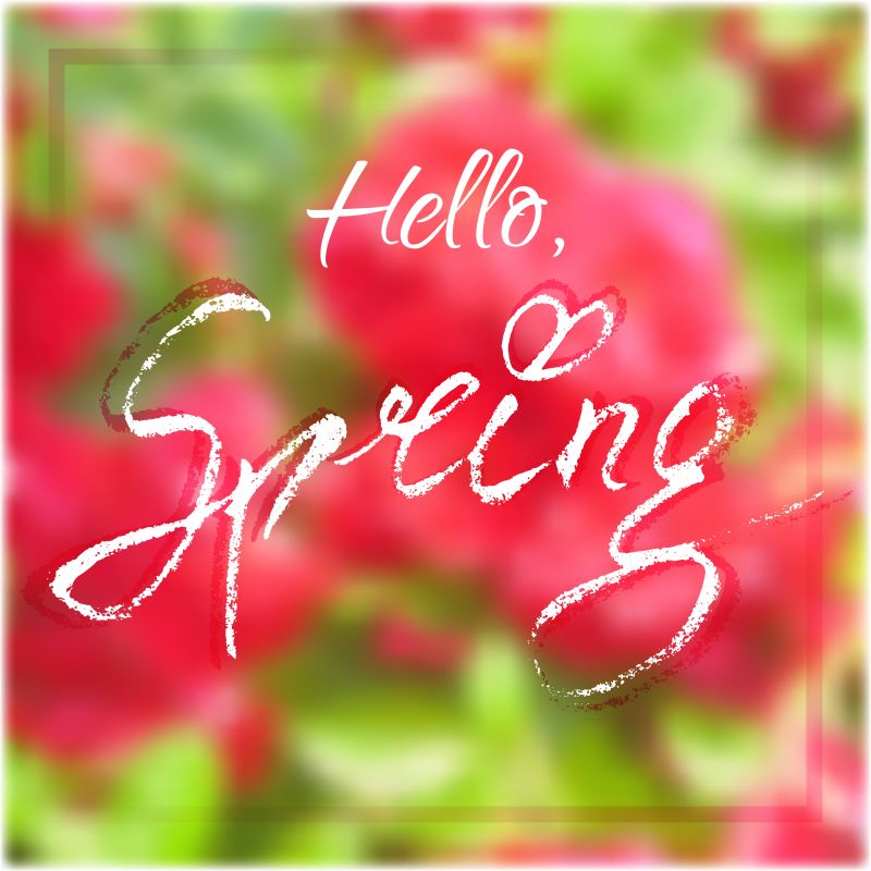 矢量春天自然花模糊背景