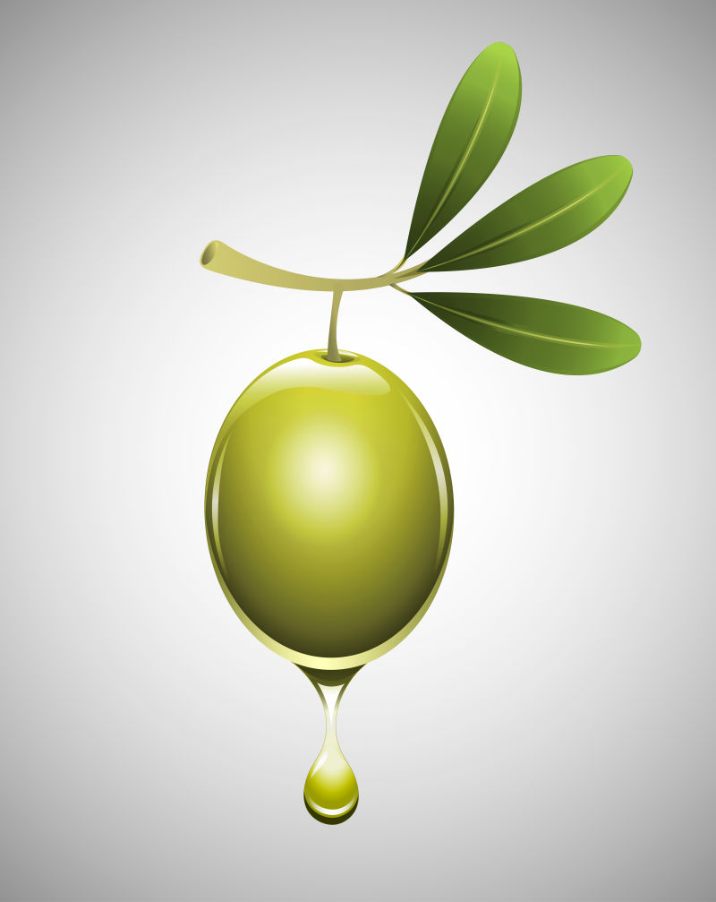 矢量的橄榄油插图
