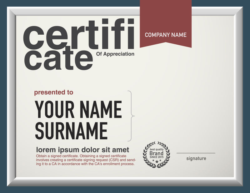 矢量证书现代版面