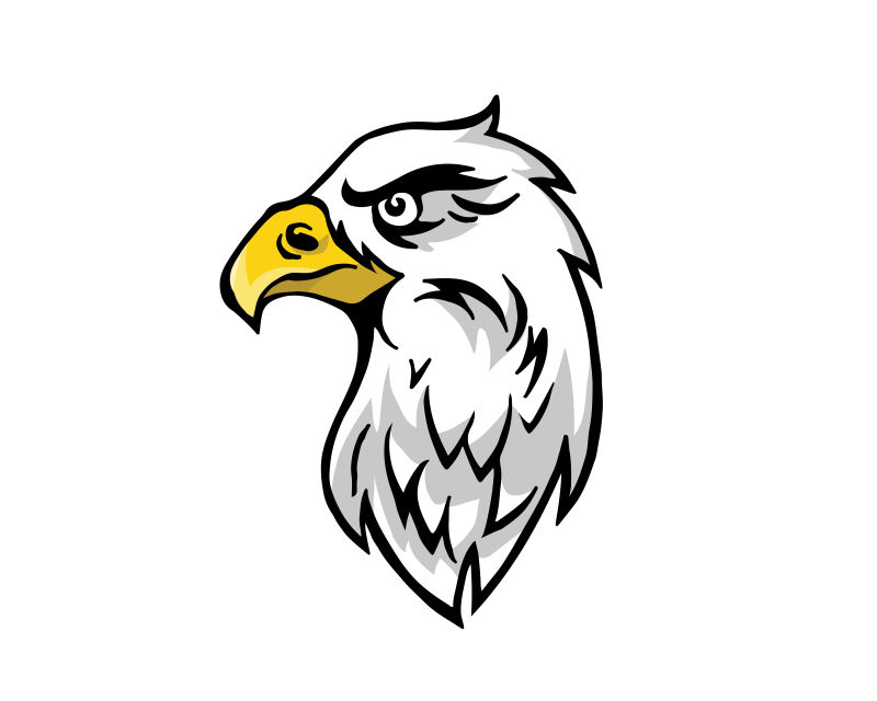 创意矢量老鹰的平面插图