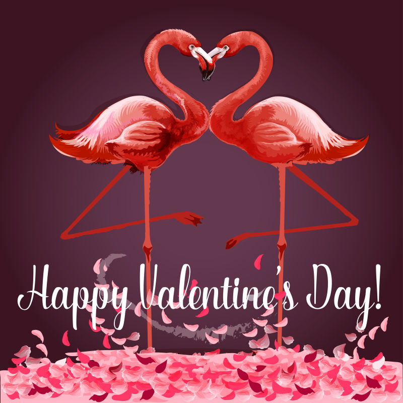 情人节火烈鸟图案贺卡矢量设计