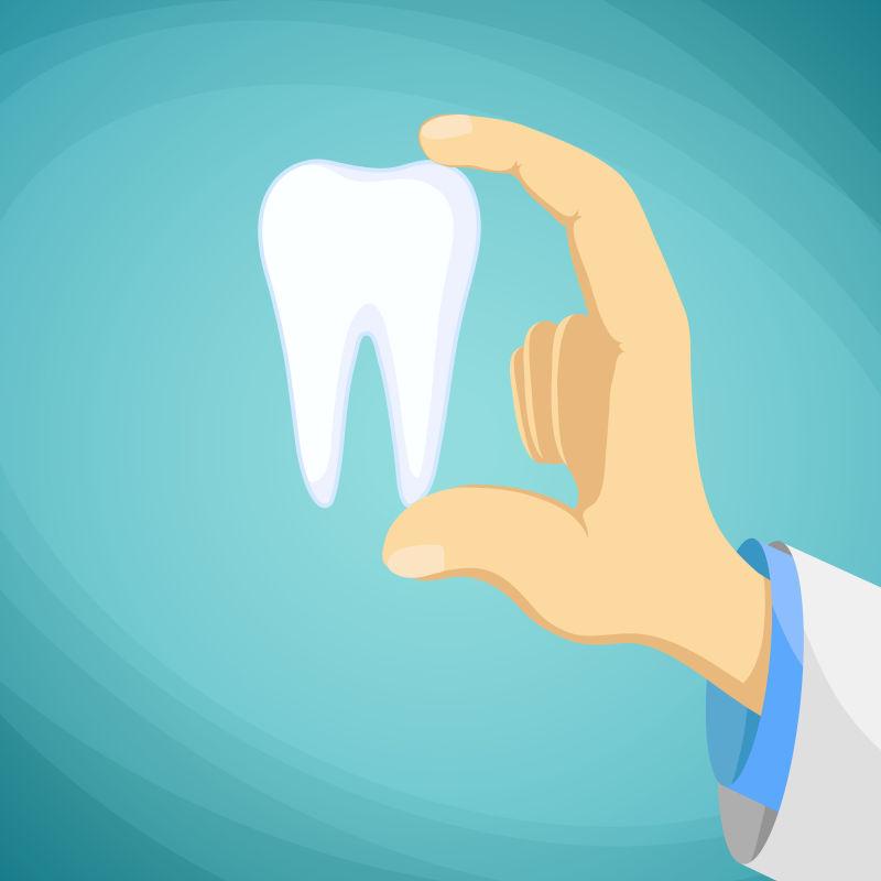 牙科医生手里拿着一颗人类牙矢量